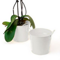6 1/2" White Painted Pail w/ Dual Side Handles